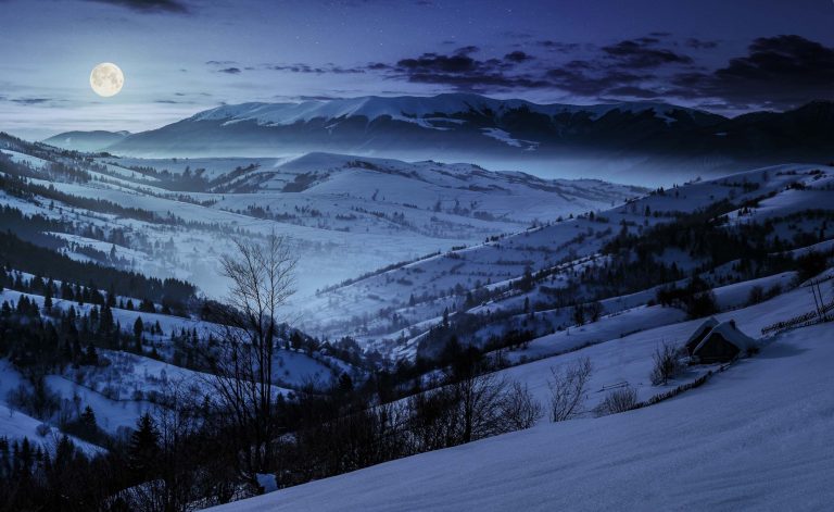 Winter (CoinDesk Archives)