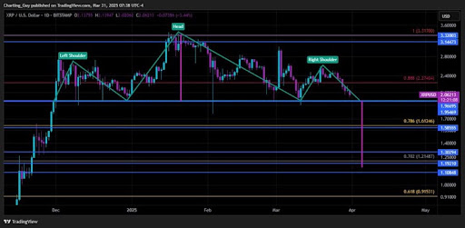 xrp-chart-from-the-charting-guy XRP