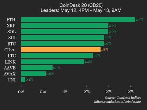 9am CoinDesk 20 Update for 2025-05-13: leaders chart