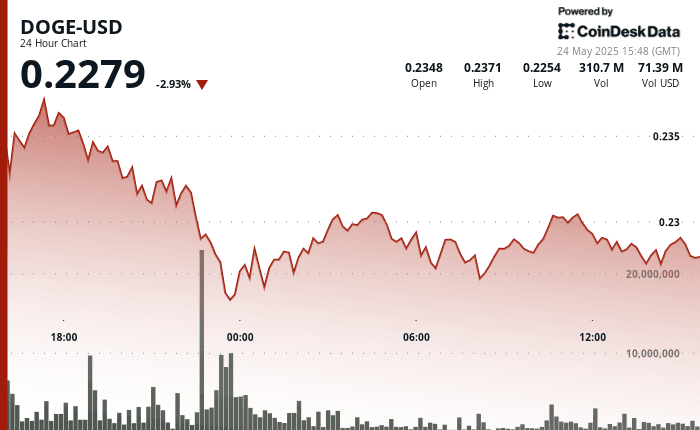 DOGE-USD 24-hour chart shows 2.9% decline, ending at $0.2279 on May 24, 2025