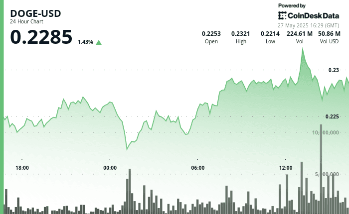 DOGE 24-hour chart showing 1.43% gain with spike above $0.23