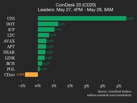 9am CoinDesk 20 Update for 2025-05-28: leaders chart