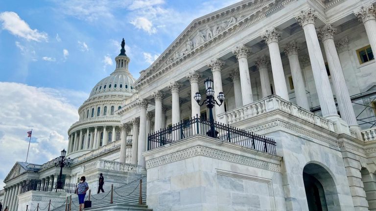 U.S. Capitol Building (Jesse Hamilton/CoinDesk)