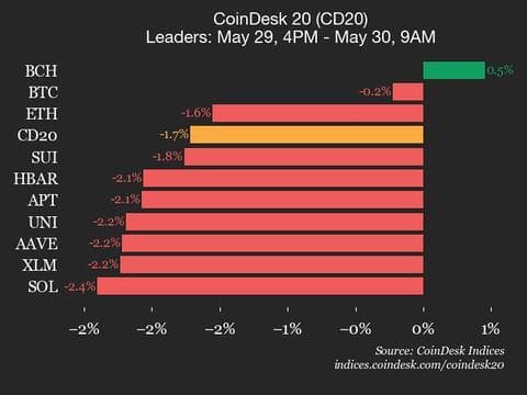 9am CoinDesk 20 Update for 2025-05-30: leaders chart
