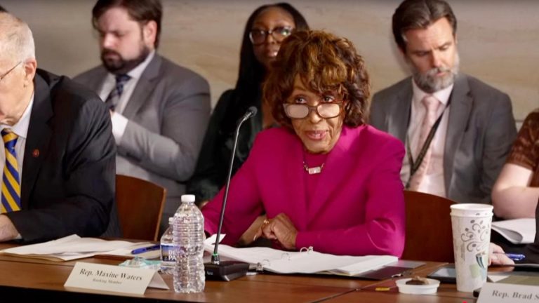 U.S. Representative Maxine Waters (video capture, House Financial Services Democrats roundtable)