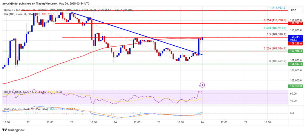 bitcoin_819d3f Bitcoin Price
