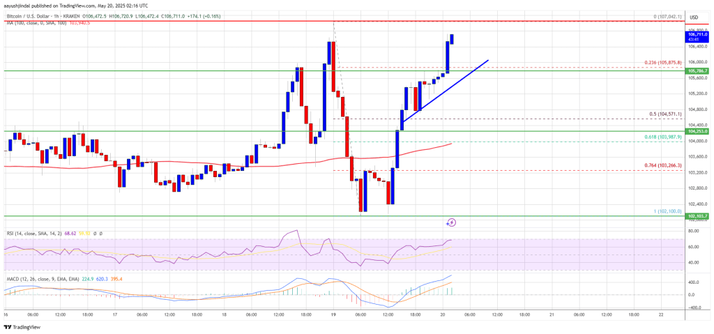 bitcoin_d28727 Bitcoin Price