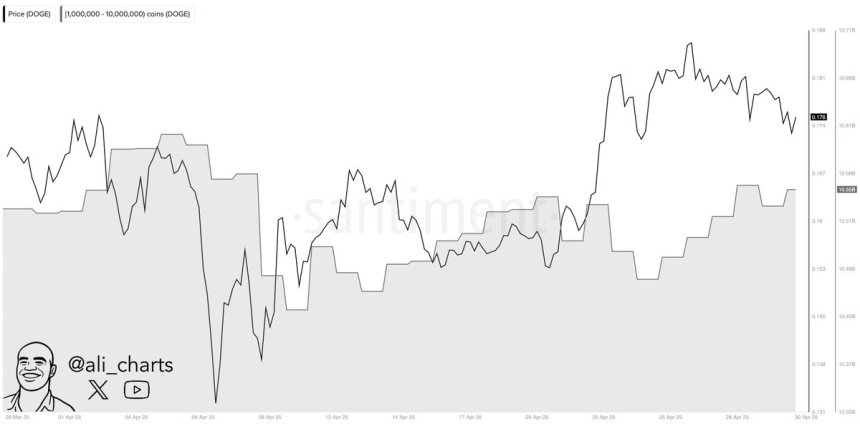 btc Dogecoin Whales Buy 100M DOGE in 24H | Source: Ali Martinez on X