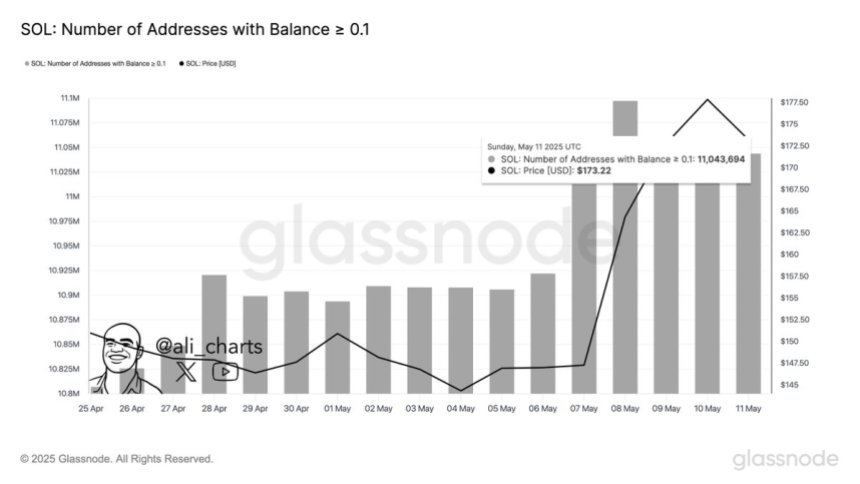 btc_3053d3 Solana number of addresses with balance > 0.1 | Source: Ali Martinez on X
