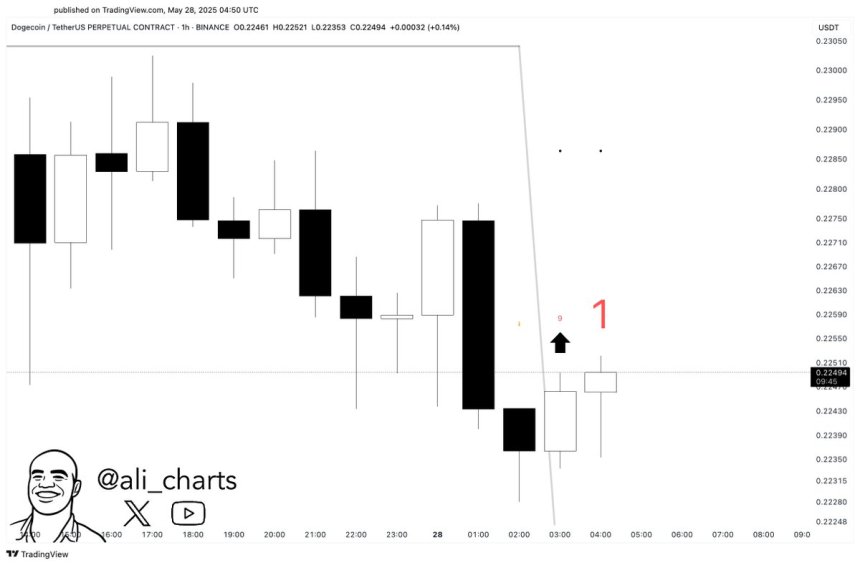 btc_53a6ed Dogecoin TD sequential flashes a buy signal on the hourly chart | Source: Ali Martinez on X