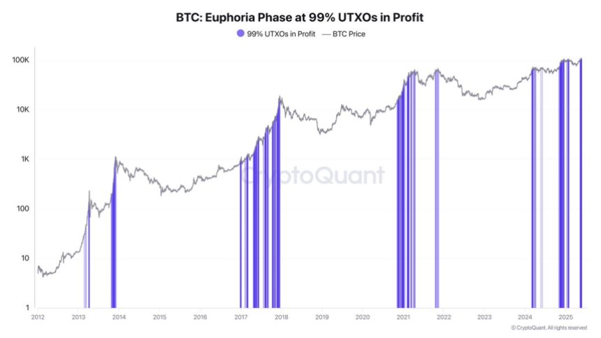 btc_6dab7e Bitcoin Euphoria Phase at 99% UTXOs in Profit | Source: Darkfost on X