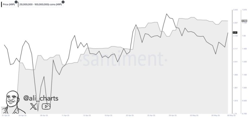 btc_7fcd04 XRP Whales accumulated over 880 million XRP in the past month | Source: Ali Martinez on X