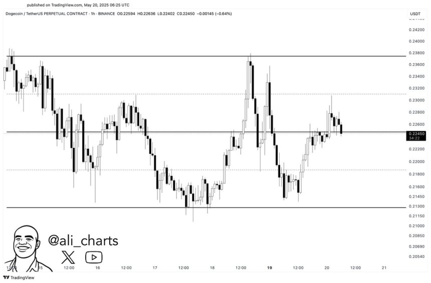 btc_cae435 Dogecoin fails to keep pushing above supply | Source: Ali Martinez on X