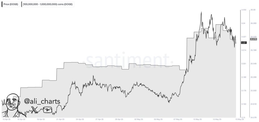 btc_d45e3f Dogecoin whales bought 1B DOGE in a month | Source: Ali Martinez on X
