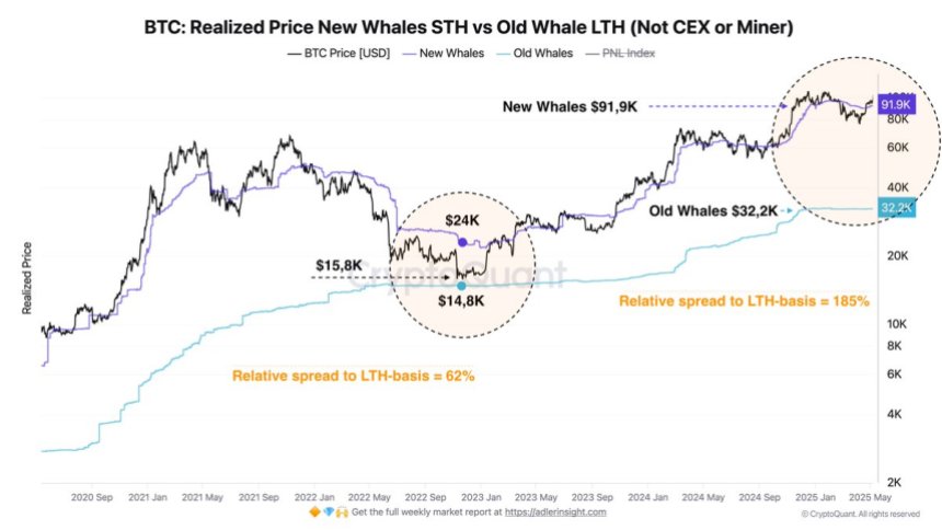 btc_fd35a1 Bitcoin Realized Price New Whales STH vs Old Whale LTH | Source: Axel Adler on X