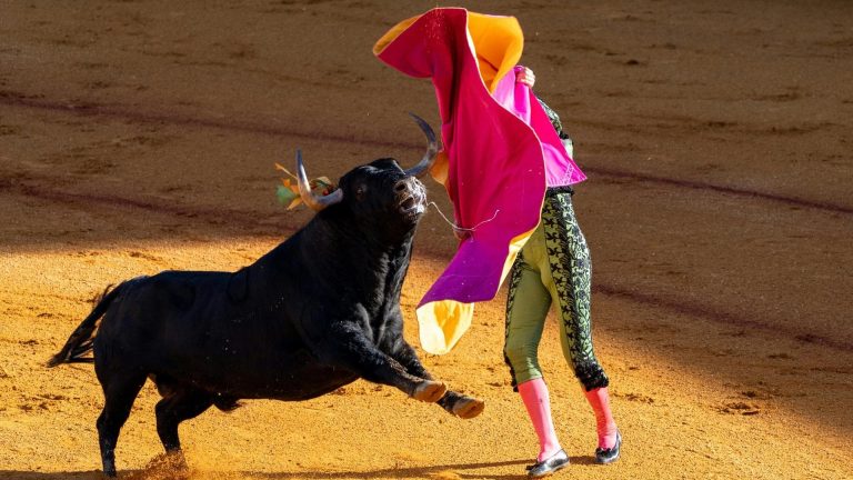 Matador. (Credit: Paul Kenny McGrath/Unsplash)