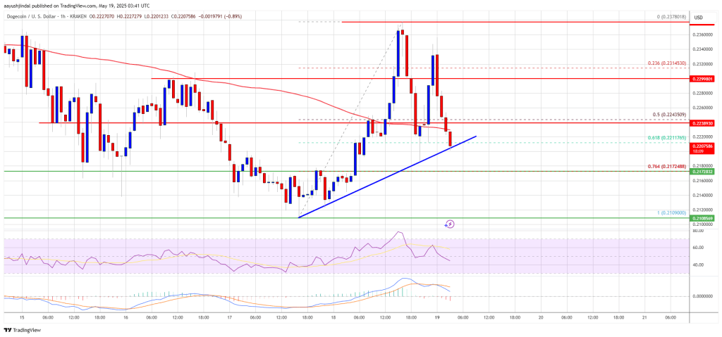 doegcoin-doge_ccd41c Dogecoin Price