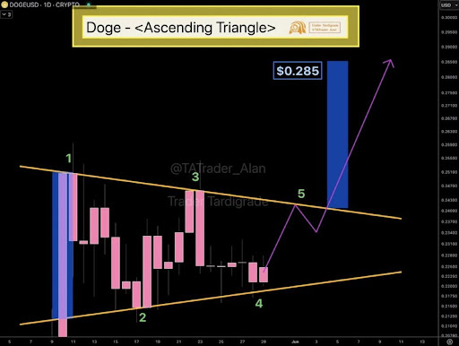 dogecoin-chart-from-trader-tardigrade Dogecoin