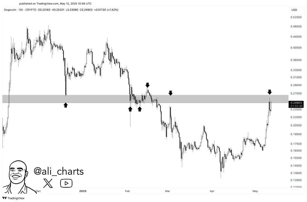 gqwfkjiwiaiulpa Dogecoin price analysis