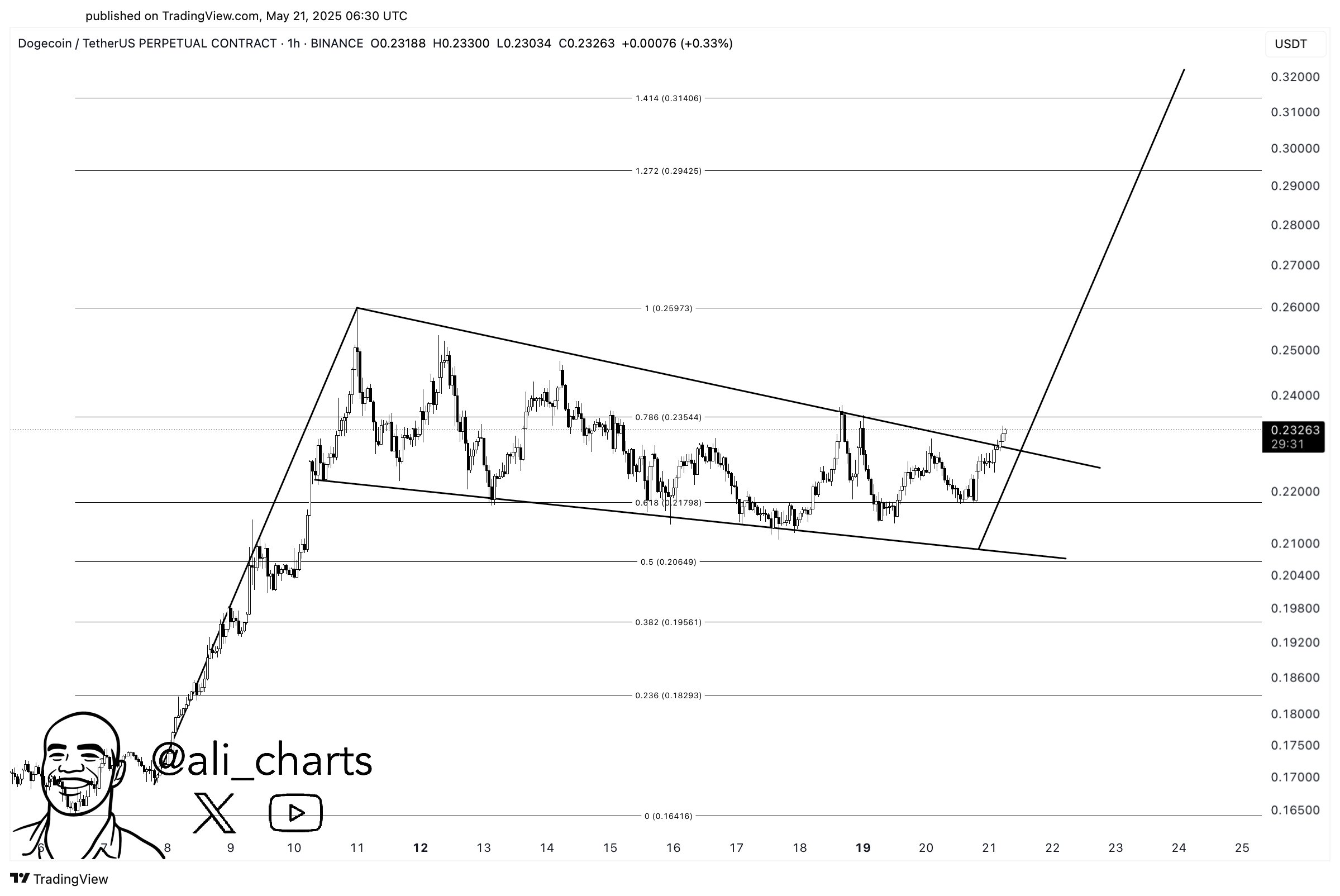grflelrxqaaeita Dogecoin Bull Pennant
