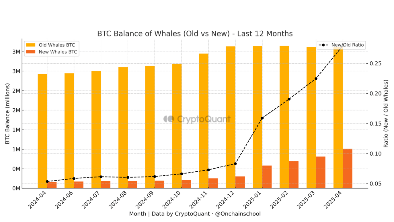 kcmjo2dc_11ffb8d74772b8ae8e1b9d015277e9b4bb783b91d4f6f4142fa272b2857c2ea9 Bitcoin balance of whales.