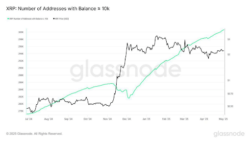 xrp-chart-from-jyles XRP
