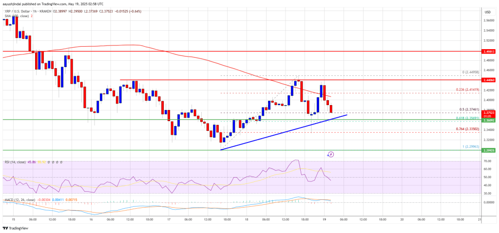 xrp_price_577b61 XRP Price