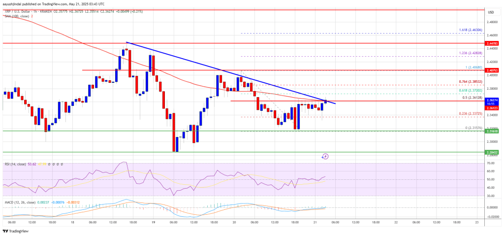 xrp_price_c103a4 XRP Price