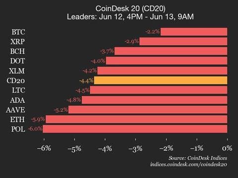 9am CoinDesk 20 Update for 2025-06-13: leaders chart