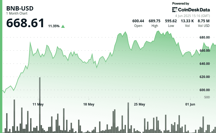 BNB price chart over the past 30 days (CoinDesk Data)