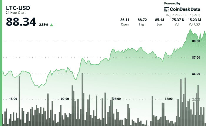 LTC price chart (CoinDesk Data)