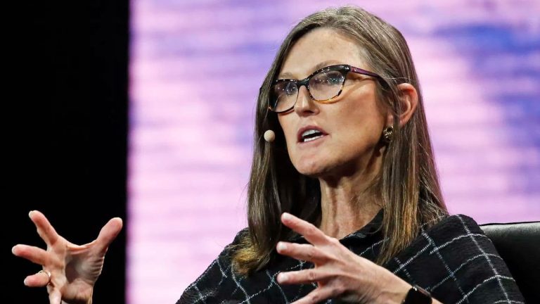 Cathie Wood, chief executive officer and chief investment officer, Ark Invest (Marco Bello/Getty Images)