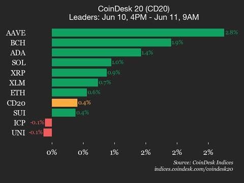 9am CoinDesk 20 Update for 2025-06-11: leaders chart