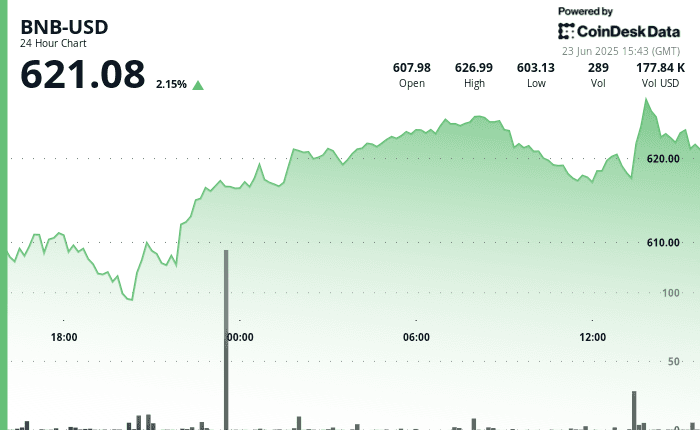 BNBUSD Chart (CoinDesk Data)