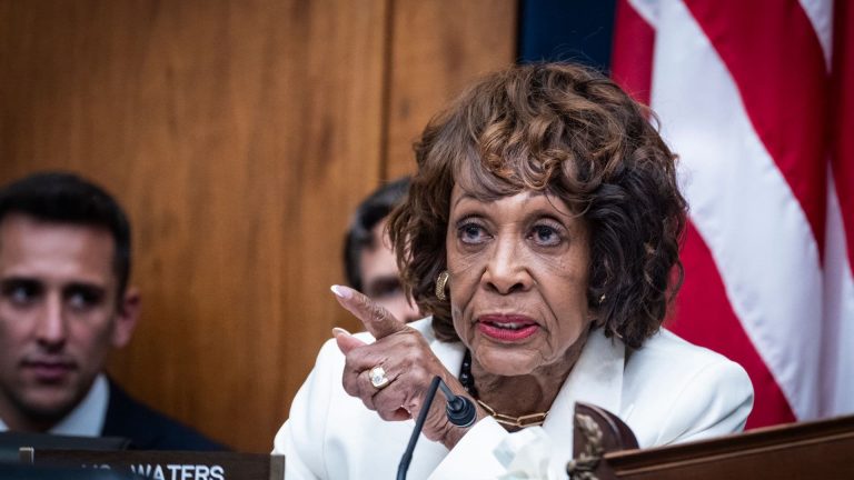 Representative Maxine Waters ( Pete Marovich/Getty Images)