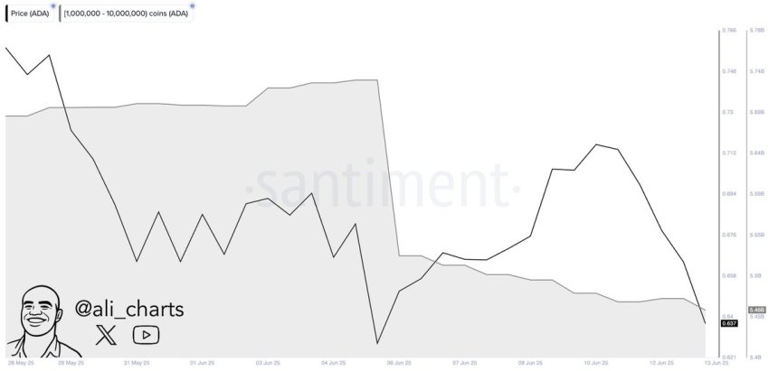 btc_c61785 Cardano whales sold over 270 million ADA in a week | Source: Ali Martinez on X