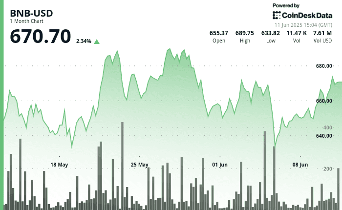 BNB price chart (CoinDesk Data)