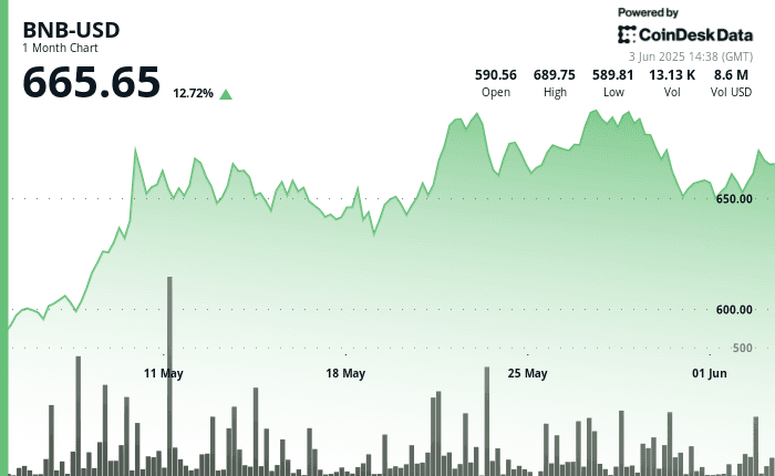 BNBUSD price chart (CoinDesk Data)
