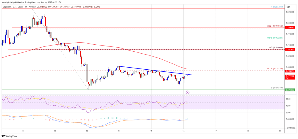 doegcoin-doge_f83767 Dogecoin Price