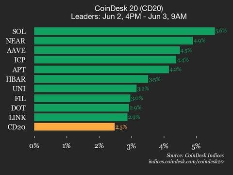 9am CoinDesk 20 Update for 2025-06-03: leaders chart