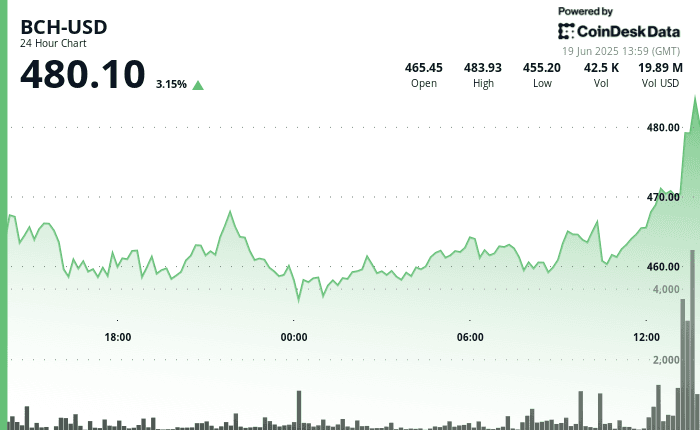 BCH 24-hour price chart showing breakout from $454 to above $480 with increasing volume