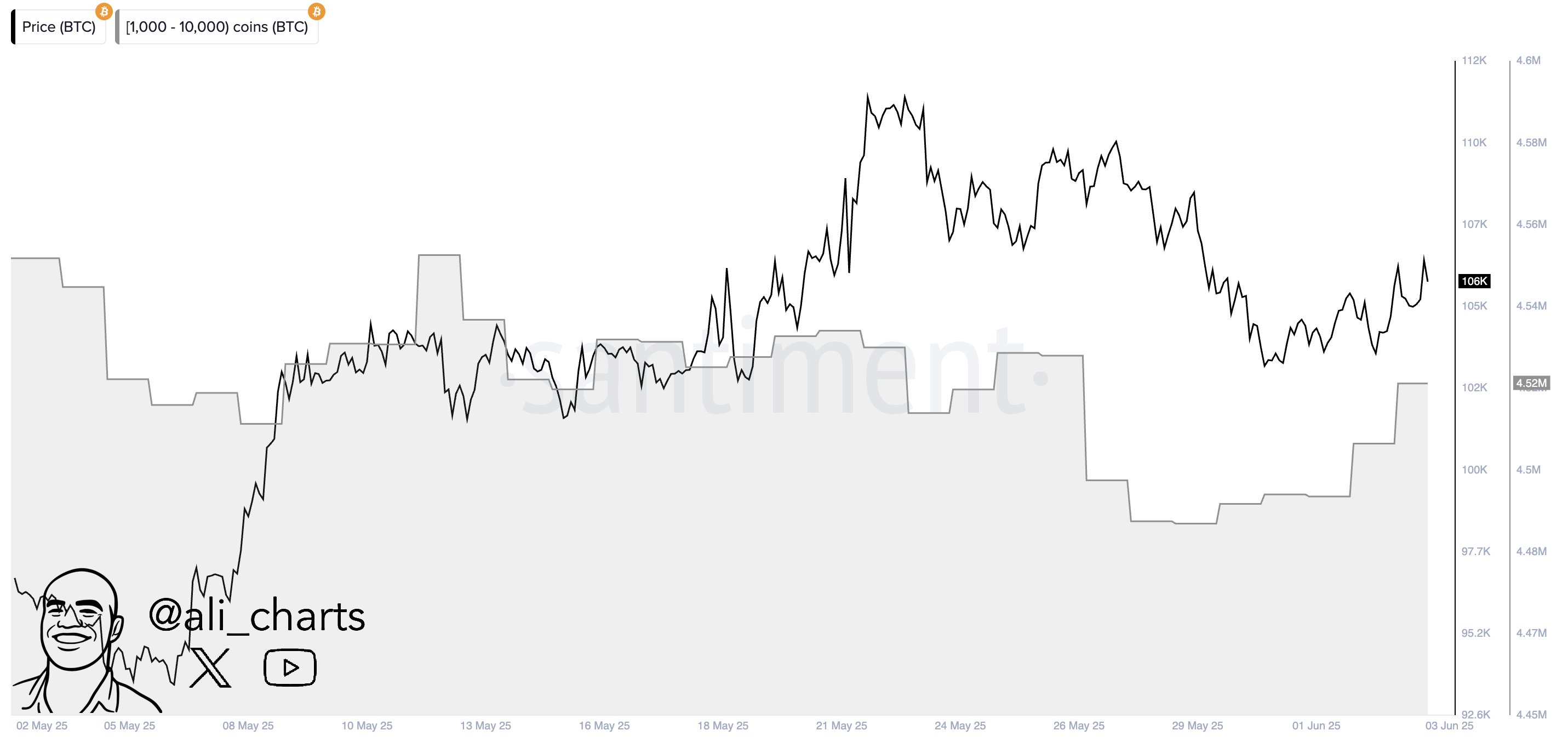 gsio-9gxqaa6fl0 Bitcoin Whales