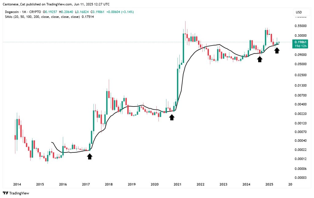 gtkalsdwcaereve Dogecoin price analysis, monthly chart