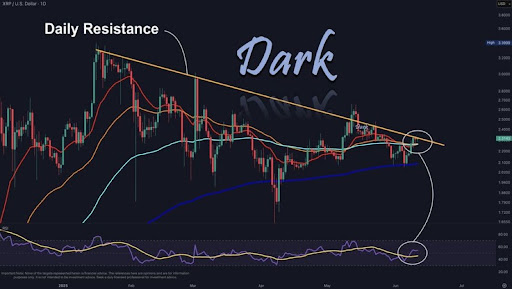 xrp-chart-from-dark-defender XRP