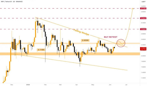 xrp-chart-from-robert-mercer XRP