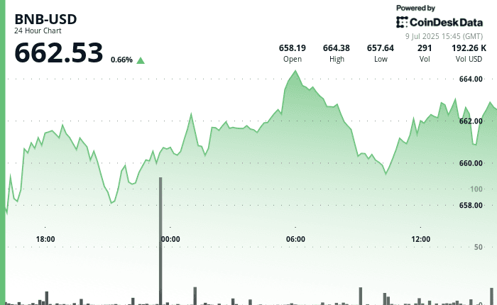 BNB price chart (CoinDesk Data)