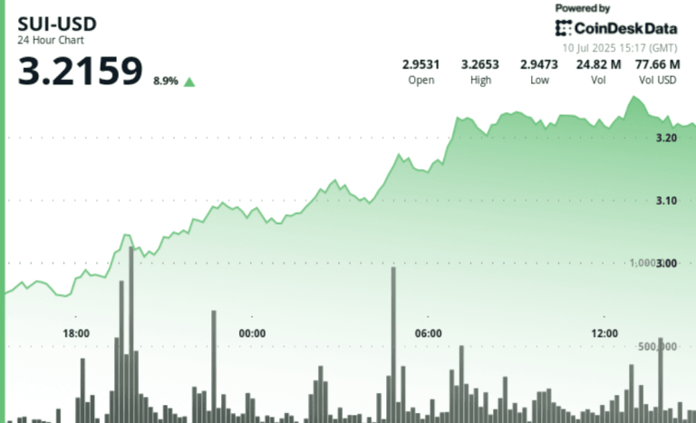 SUI rose nearly 10% over the past 24 hours period.
