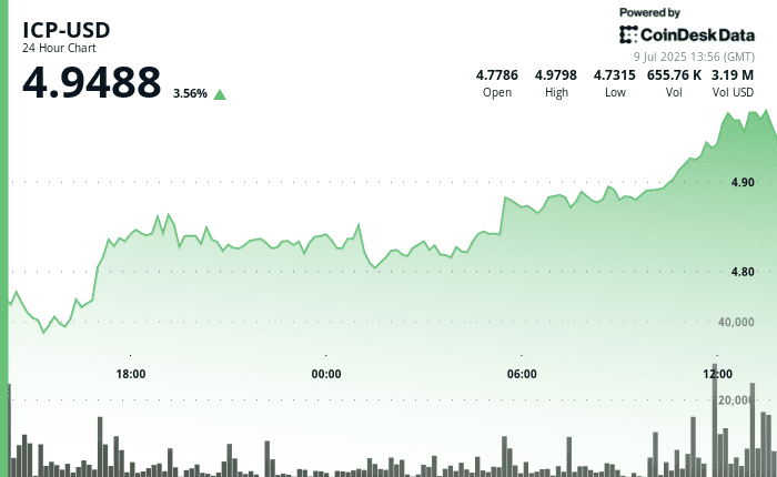 ICP-USD, July 7 2025 (CoinDesk)