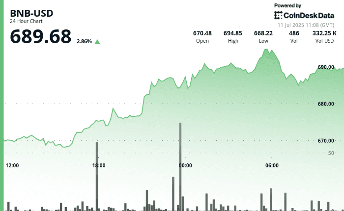 BNB price chart (CoinDesk Data)