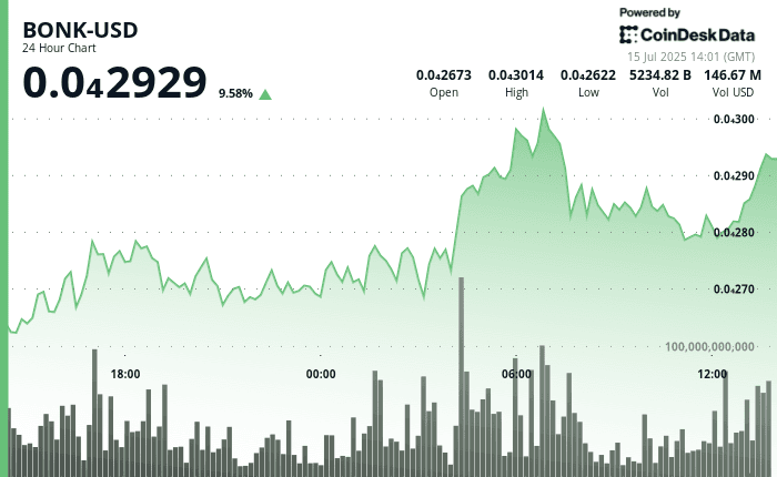 BONK-USD July 15 2025 (CoinDesk)